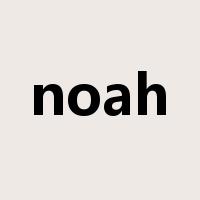 noah是什么意思
