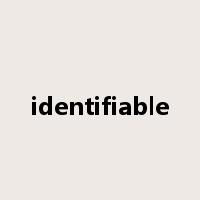 identifiable是什么意思