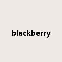 blackberry是什么意思