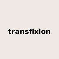 transfixion是什么意思