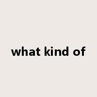 what kind of是什么意思
