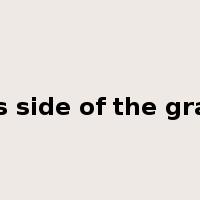 this side of the grave是什么意思