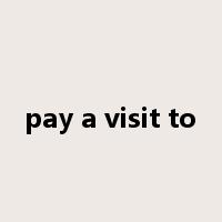 pay a visit to是什么意思