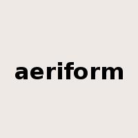 aeriform是什么意思