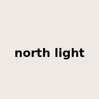 north light是什么意思
