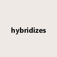 hybridizes是什么意思