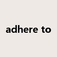 adhere to是什么意思