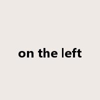 on the left是什么意思