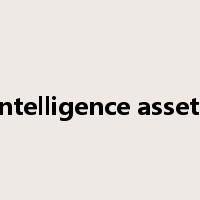 intelligence assets是什么意思