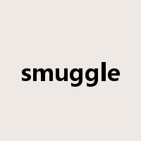 smuggle是什么意思