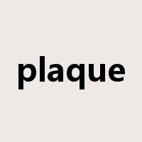 plaque是什么意思