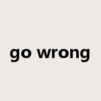 go wrong是什么意思