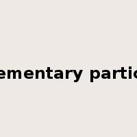 elementary particle是什么意思