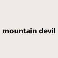 mountain devil是什么意思