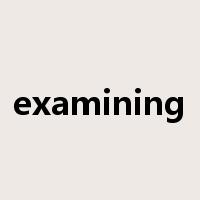 examining是什么意思