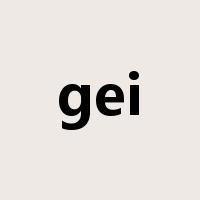 gei是什么意思