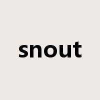 snout是什么意思