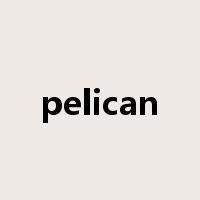 pelican是什么意思