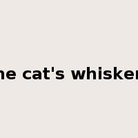 the cat's whiskers是什么意思