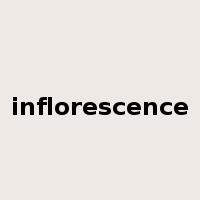 inflorescence是什么意思