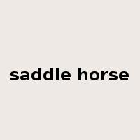 saddle horse是什么意思