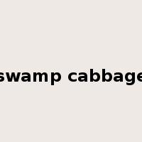 swamp cabbage是什么意思
