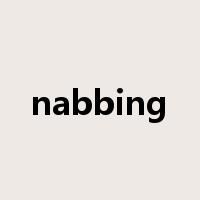 nabbing是什么意思