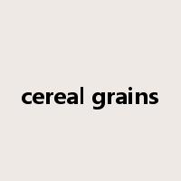 cereal grains是什么意思