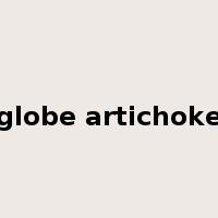 globe artichoke是什么意思