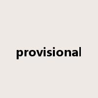 provisional是什么意思