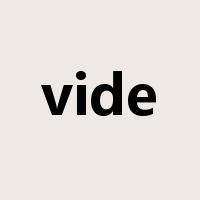 vide是什么意思