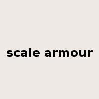 scale armour是什么意思