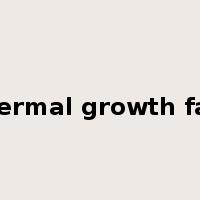 epidermal growth factor是什么意思