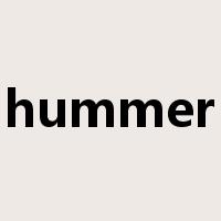 hummer是什么意思
