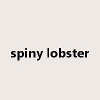 spiny lobster是什么意思