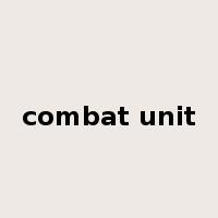 combat unit是什么意思