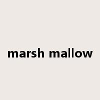 marsh mallow是什么意思