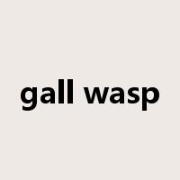 gall wasp是什么意思