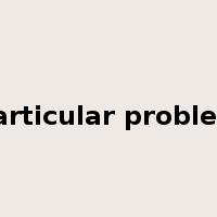 particular problem是什么意思