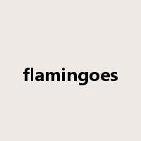 flamingoes是什么意思