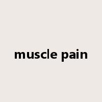 muscle pain是什么意思