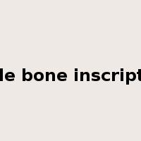 oracle bone inscriptions是什么意思