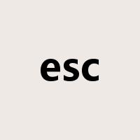 esc是什么意思