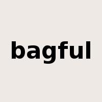 bagful是什么意思