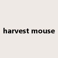 harvest mouse是什么意思