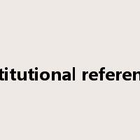 constitutional referendum是什么意思