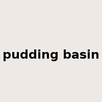 pudding basin是什么意思