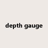 depth gauge是什么意思