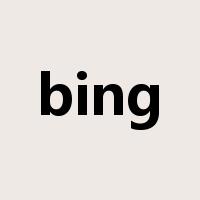 bing是什么意思