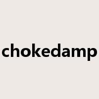 chokedamp是什么意思